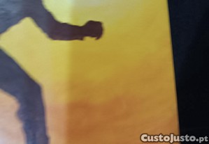 imagem_8