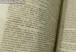 imagem_9