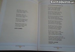 imagem_8