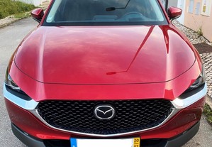 Mazda CX-30 2.0 SKYACTIVE-G EV. iACT+SPORT+SAFETY+SOUND - 20