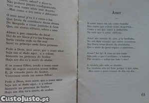 imagem_8