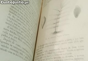 imagem_12