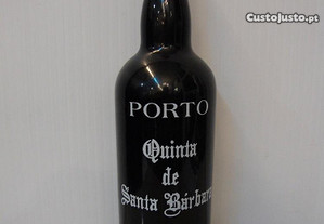 imagem_7