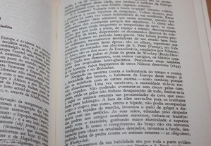 imagem_8