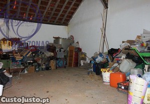 imagem_17