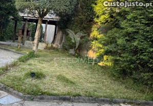 imagem_17