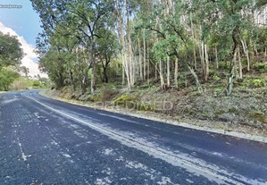 Terreno rústico com uma área total de 26.400m2, composto por eucaliptos e sobreiros. na vila de amiais d baixo