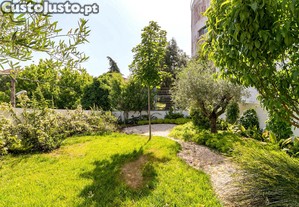 imagem_23