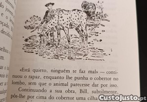 imagem_5