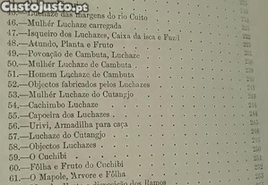 imagem_8