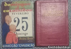 imagem_1