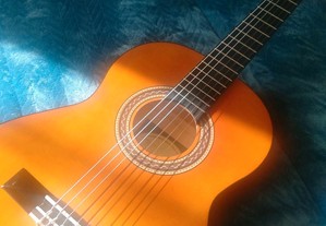 Guitarra Valência VC103