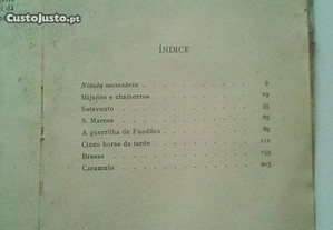 imagem_4