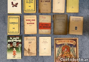 Lote de 14 livros Franceses