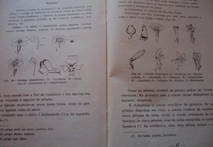 imagem_8