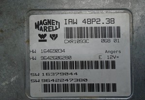 imagem_4