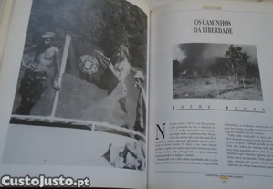imagem_5