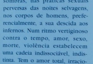 imagem_4