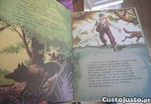 imagem_8