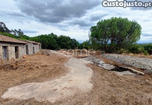 Terreno Rústico Em Cabanas Do Viriato Com 7.480 M2