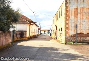 imagem_17