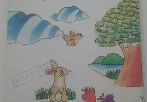 imagem_4