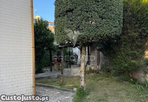 imagem_25