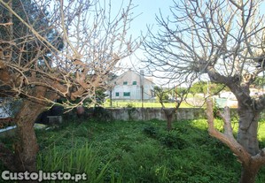 imagem_30