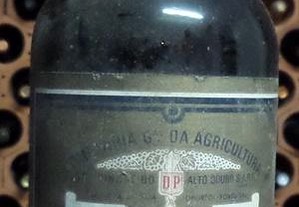 imagem_6