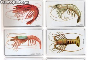 Cole��o completa e numerada de 18 calend�rios 1988