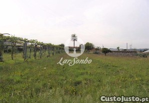 imagem_8