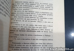 imagem_7