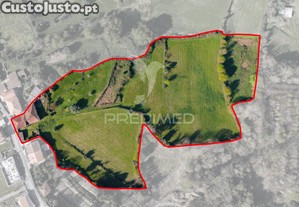 Quinta rstica com 6 hectares de terreno em moure, pvoa de lanhoso