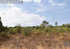 imagem_1