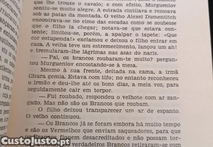 imagem_6