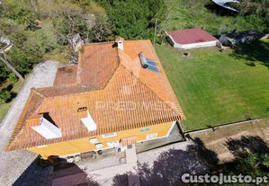 imagem_39