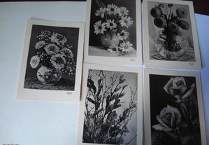 Coleção Postais: Flores