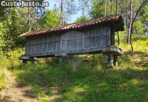 imagem_26