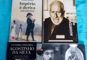 imagem_2