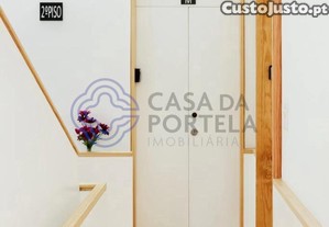 imagem_30
