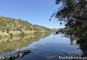 imagem_11