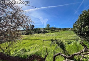 Terreno em contins-mirandela