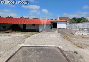 imagem_3