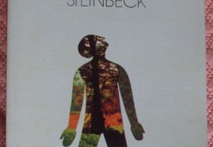 A um deus desconhecido, John Steinbeck