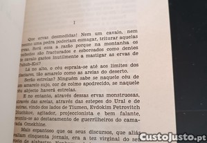 imagem_5