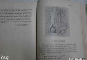 imagem_5