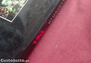 imagem_7