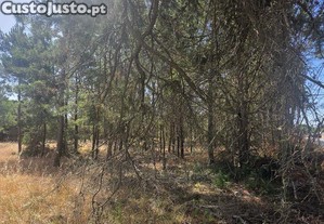 Terreno para construção em Sesimbra (Castelo)