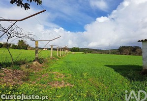 imagem_27