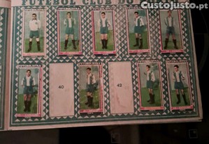 imagem_5